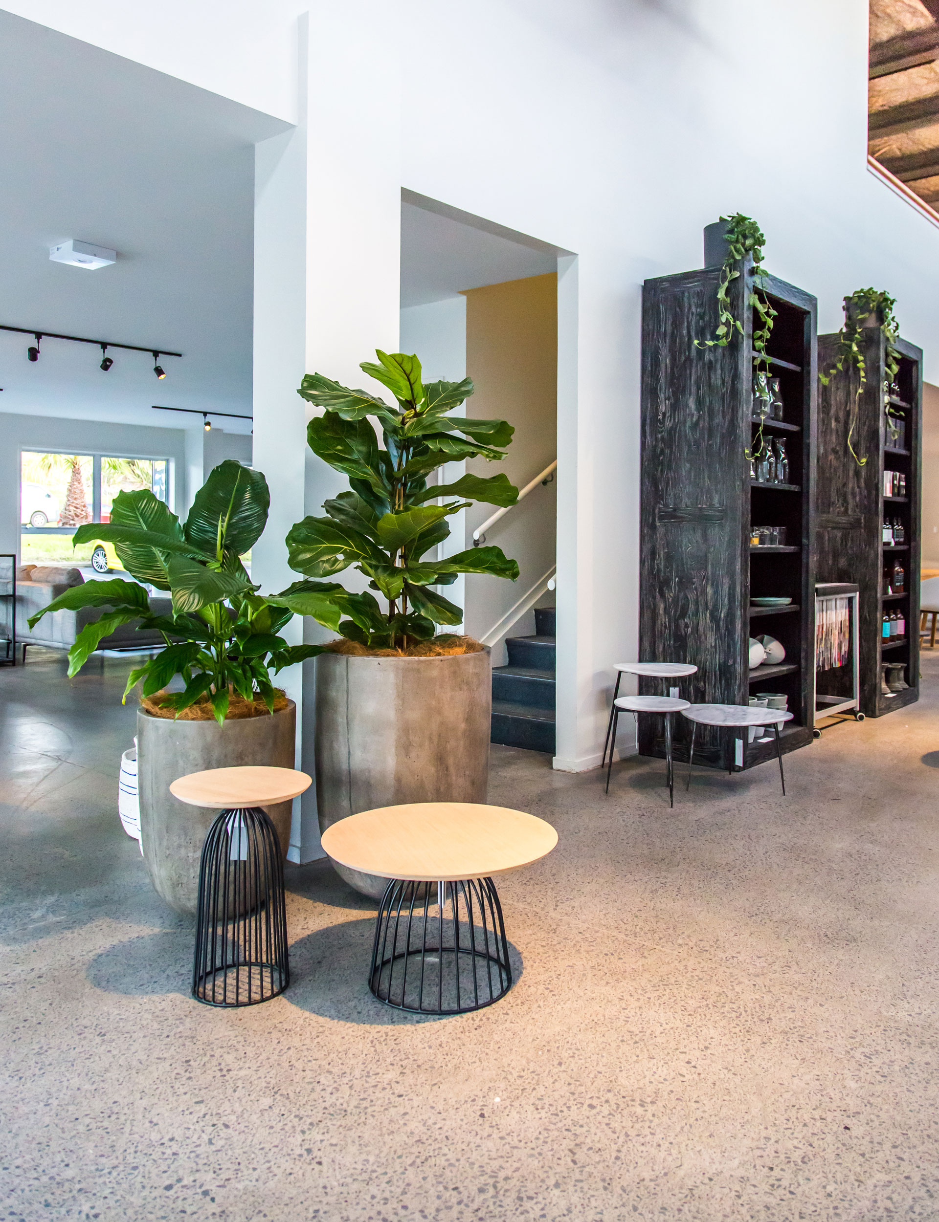 indoor plant design