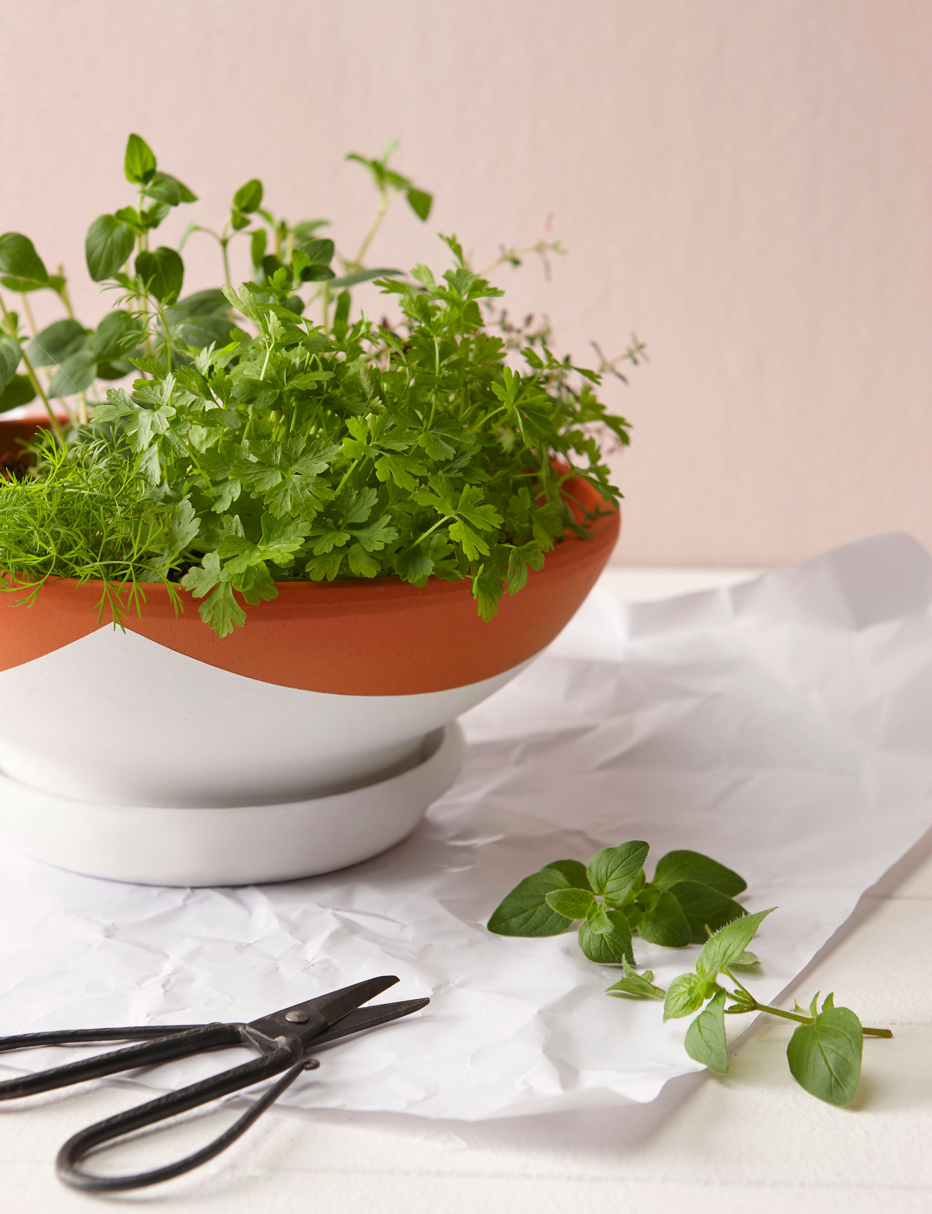 DIY gift ideas, DIY ceramic herb planter