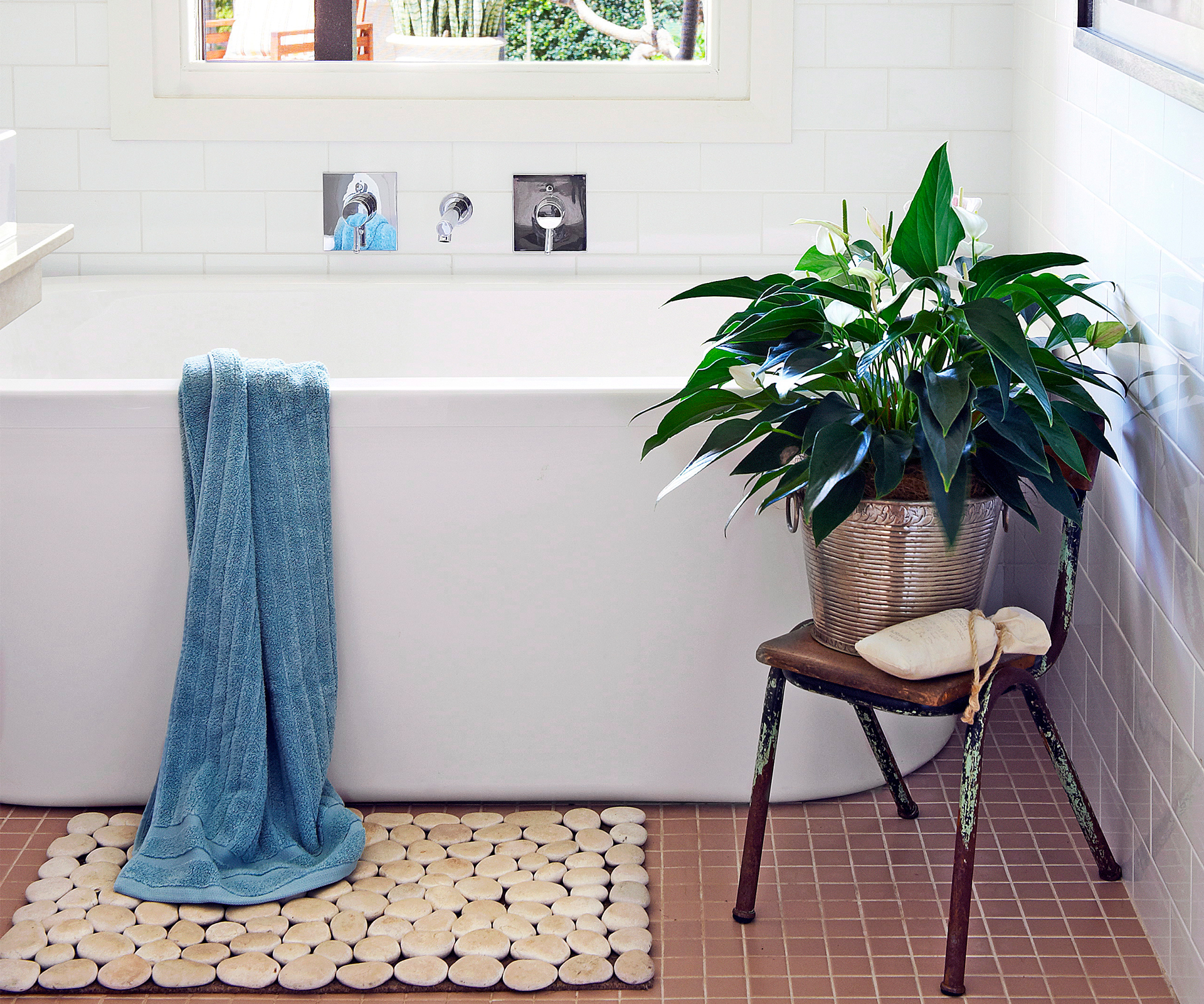 Minimalist Bathroom Plants for Small Space