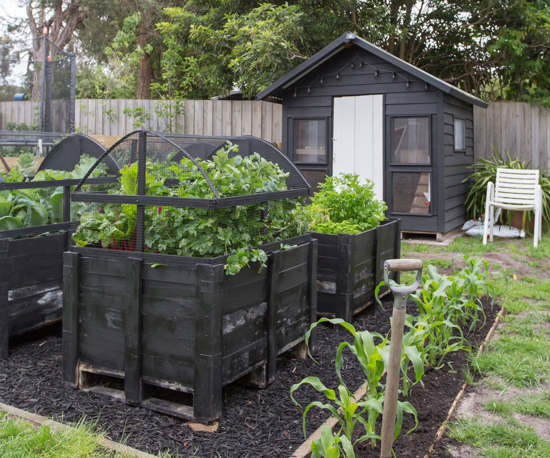 This Coastal Garden Features A Raised Vegetable Patch