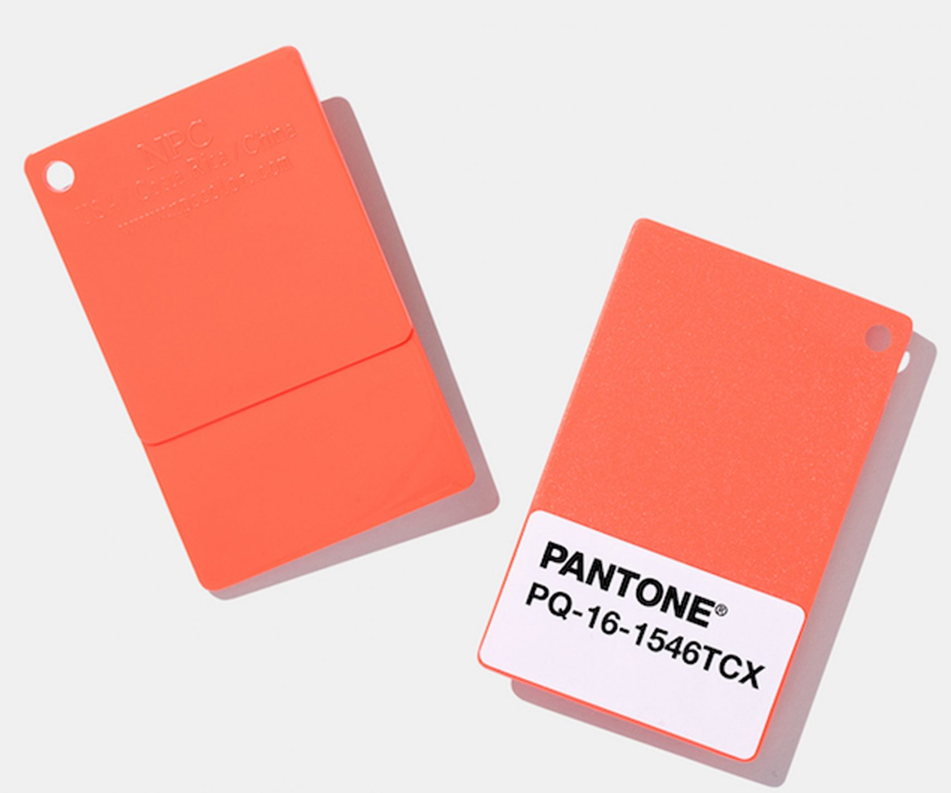 Pantone's 2019 Colour of the Year Living Coral