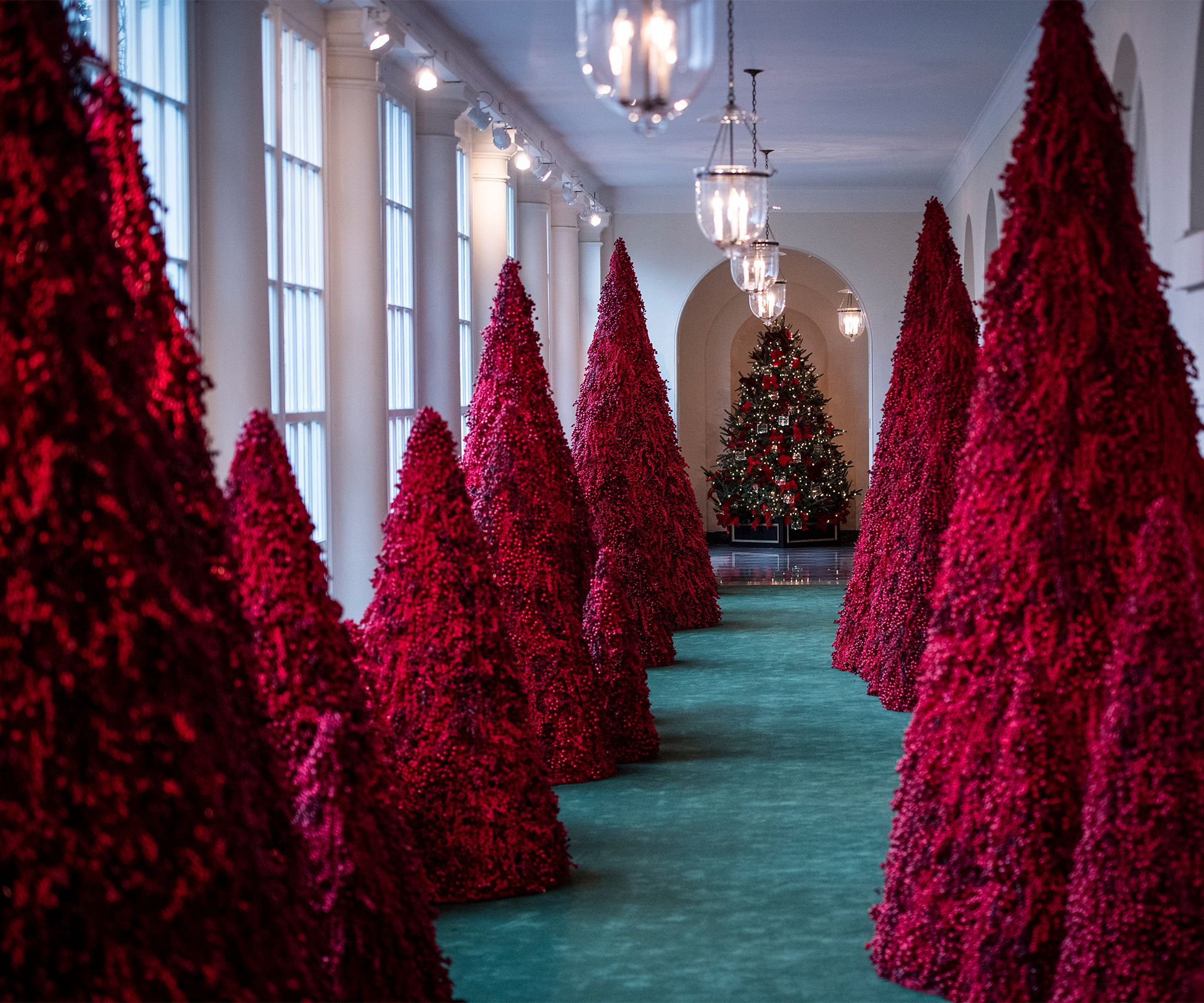 White House Christmas decorations, red trees
