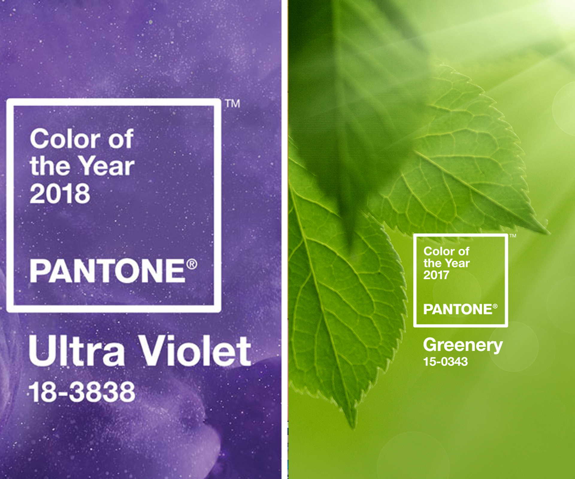 Past Pantone Colour of the year: Ultra Violet and Greenery