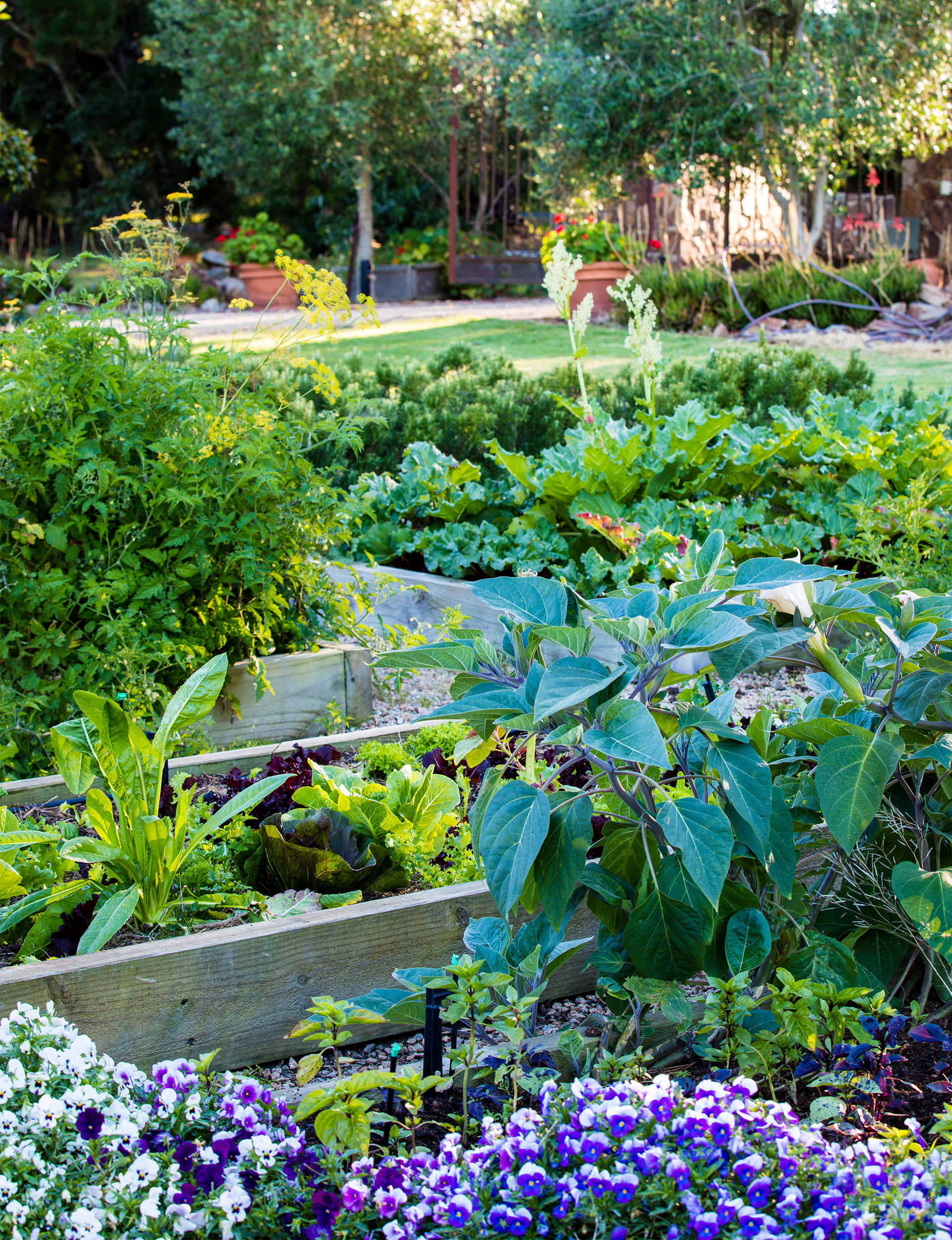 raised vegetable garden tips