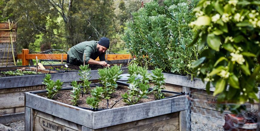 12 useful tips to help you create the ultimate raised vegetable garden